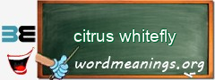 WordMeaning blackboard for citrus whitefly